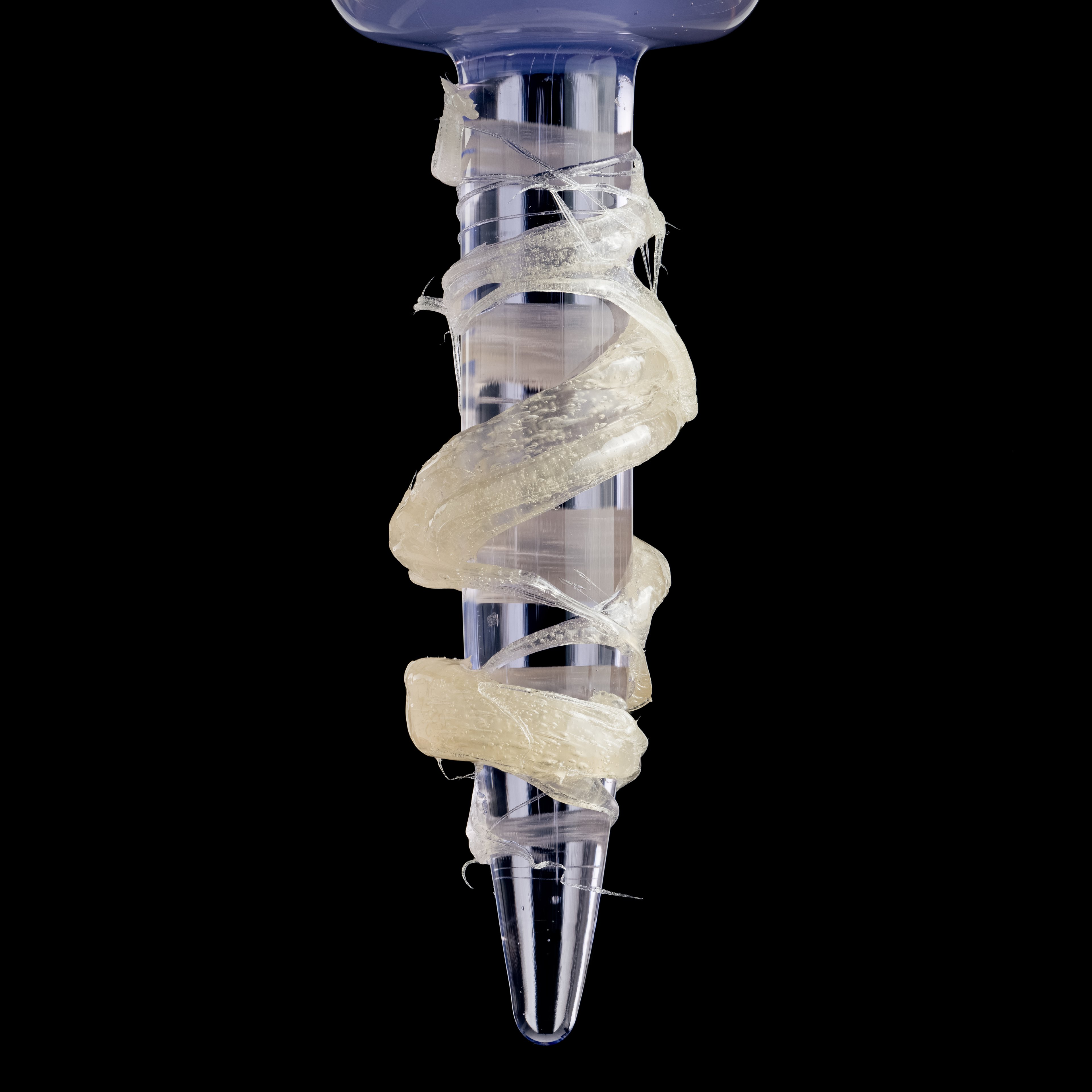 Awards & Recognition